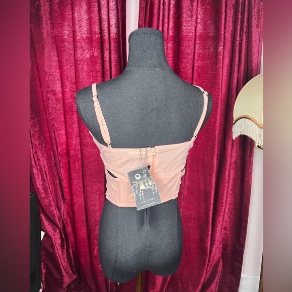 Brand NWT MISBHV blush corset top Sz L (runs small) - Picture 2 of 3